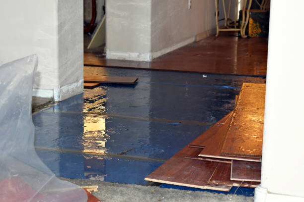 Professional Basement Water Removal technician working in Waterman, IL